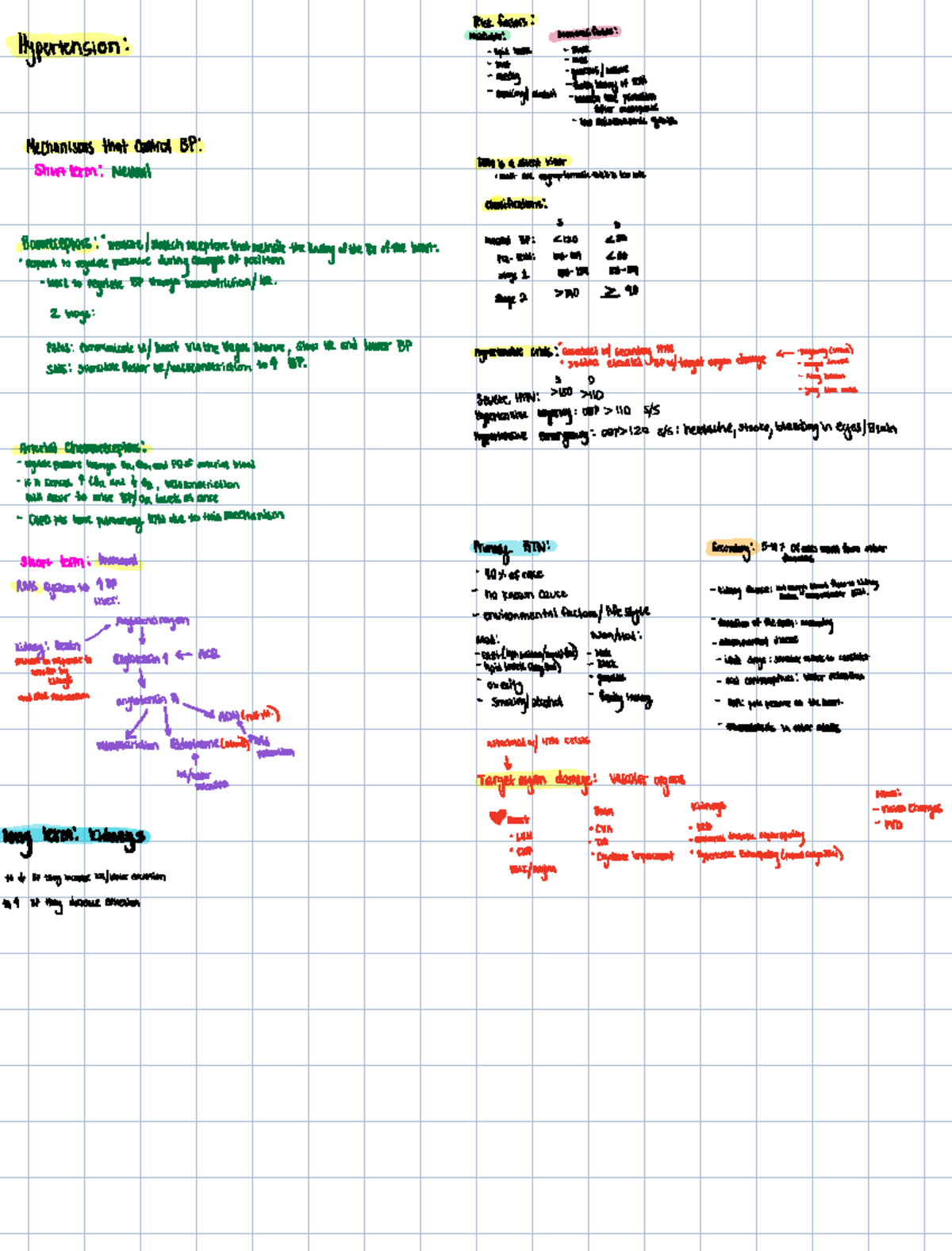 Test 3 patho study guide all of the heart - amension iiiii ...