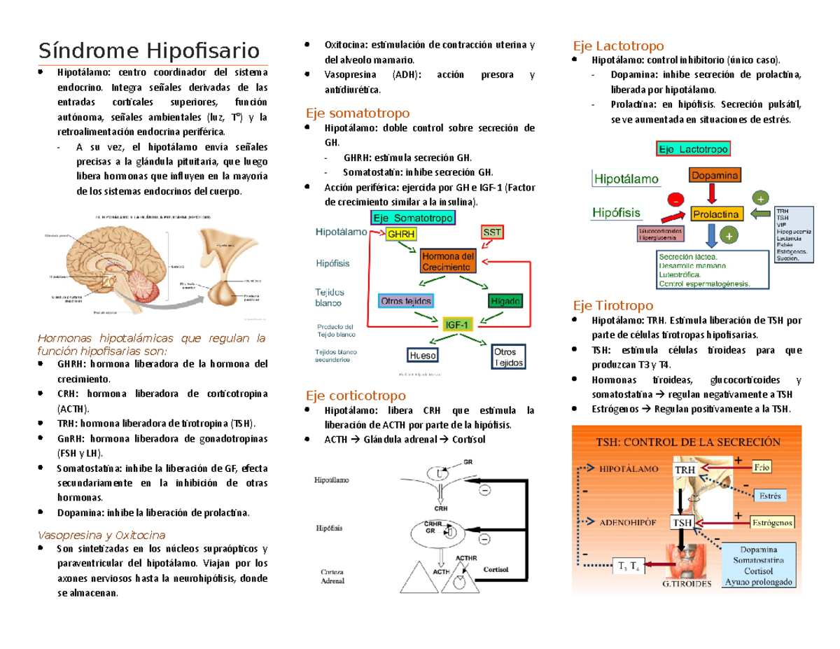 desregulación del eje suprarrenal pituitario hipotalámico y alteraciones de la memoria en la diabete