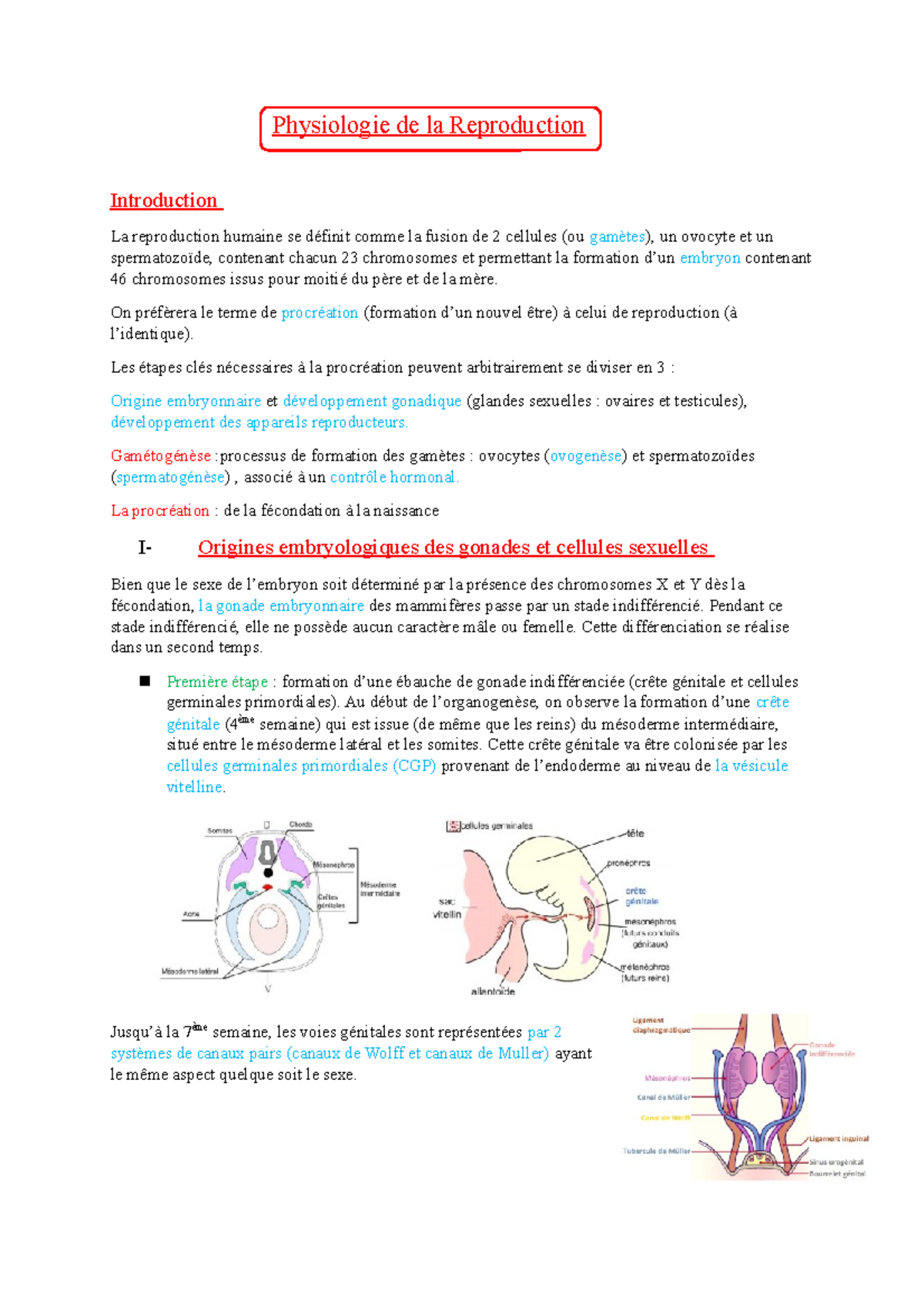 Cours 11 Reproduction - Physiologie De La Reproduction Introduction La ...