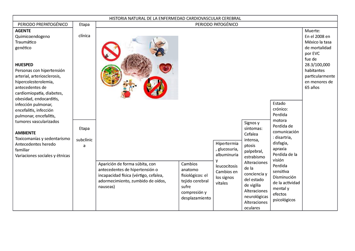 Historia Natural De La Enfermedad Cardiovascular Cerebral Historia Porn Sex Picture