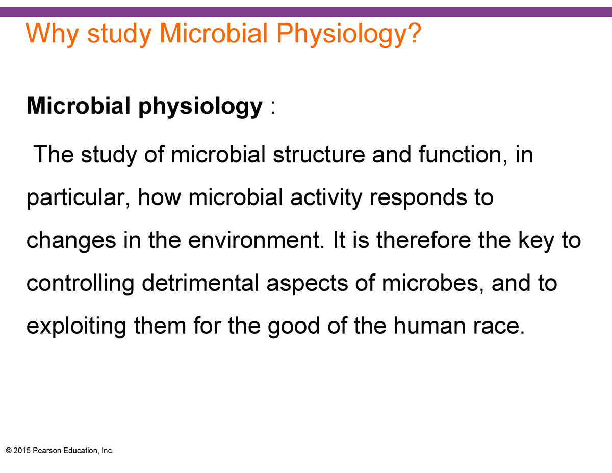 1. Microbial Diversity - Why Study Microbial Physiology? Microbial ...