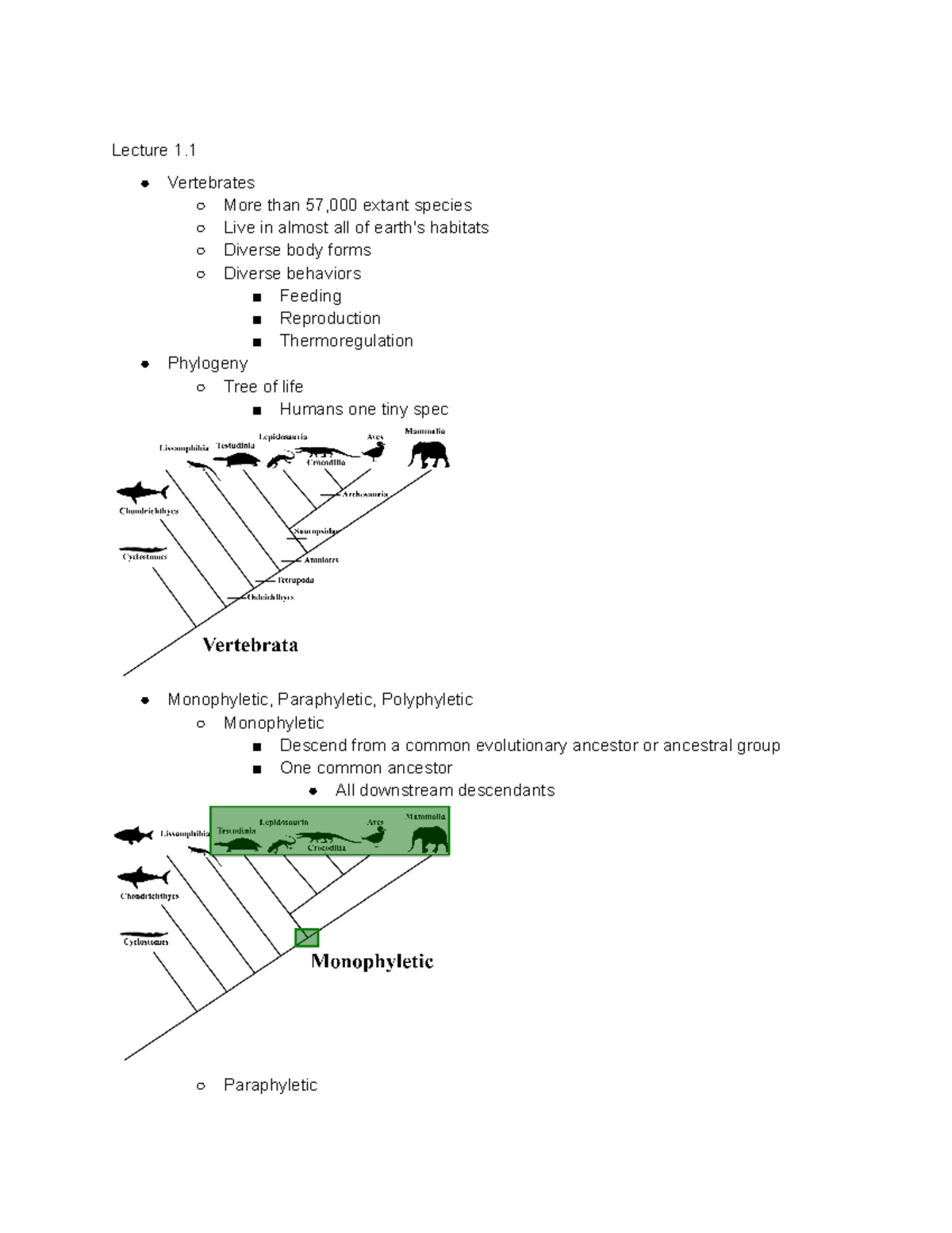 BIO 224-Midterm 1 - bio 224 - Lecture 1. Vertebrates More than 57,000 ...