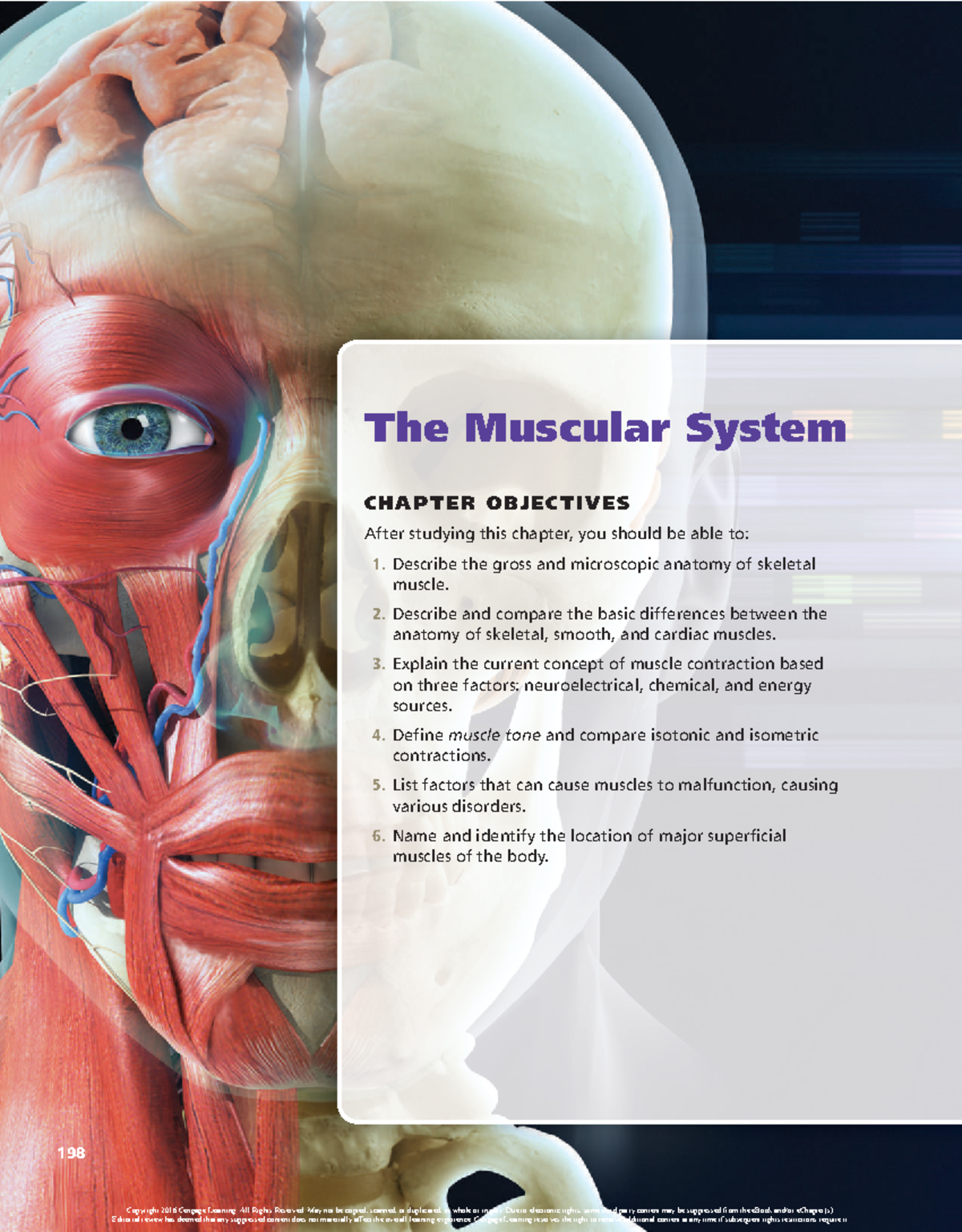 Lecture IV Muscular System - 198 The Muscular System Chap Ter ObjeCT ...