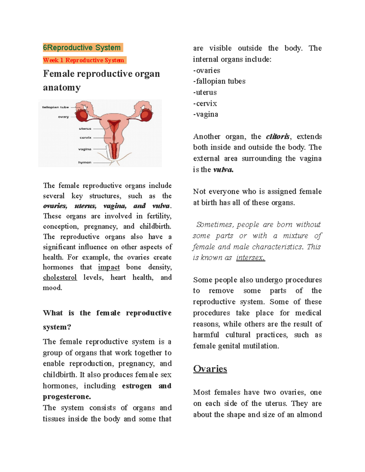 Mcn- Notes - Study - 6reproductive System Week 1 Reproductive System 