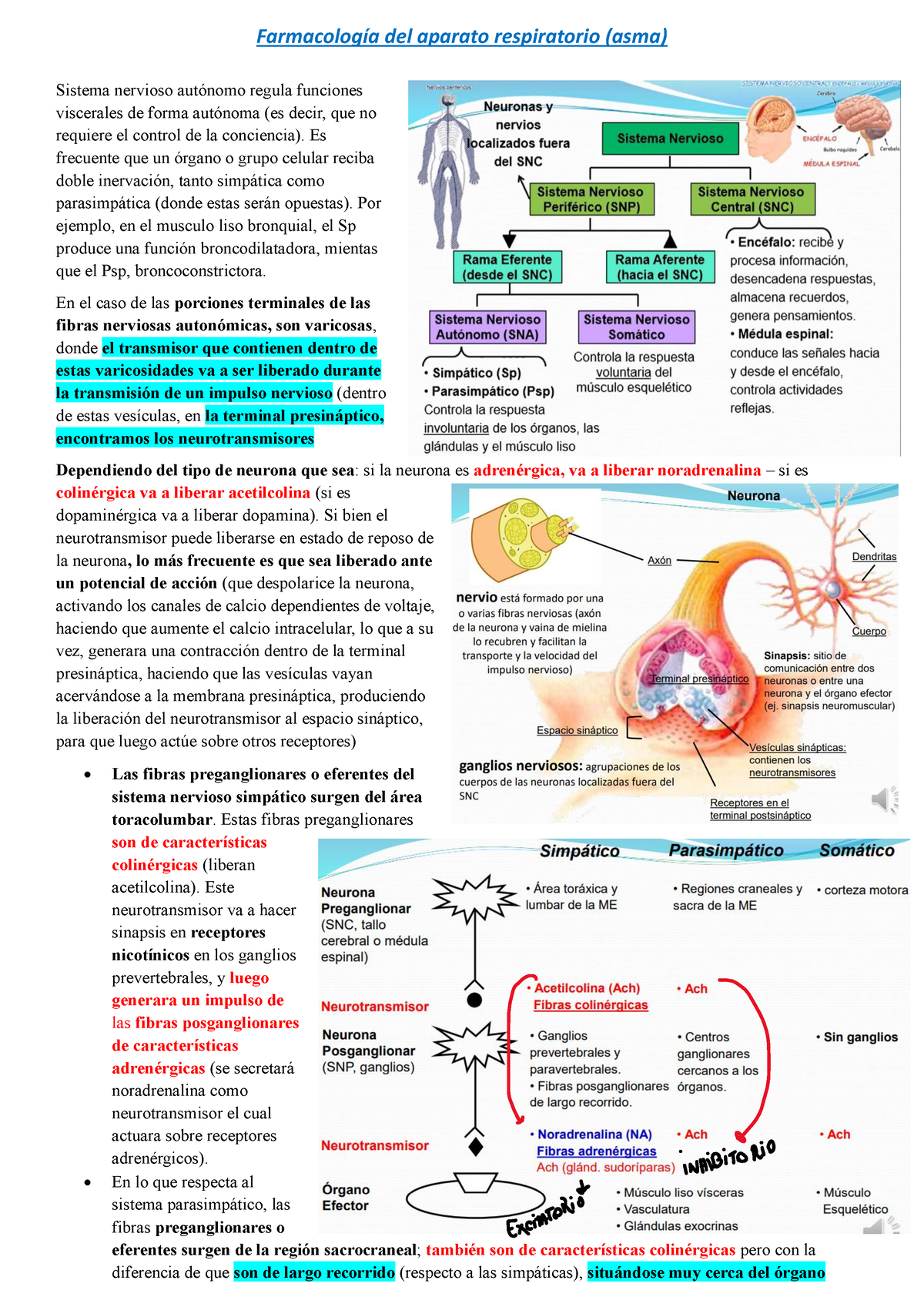 Resumen (BIO) - Farmacología Del Aparato Respiratorio I - Farmacología ...