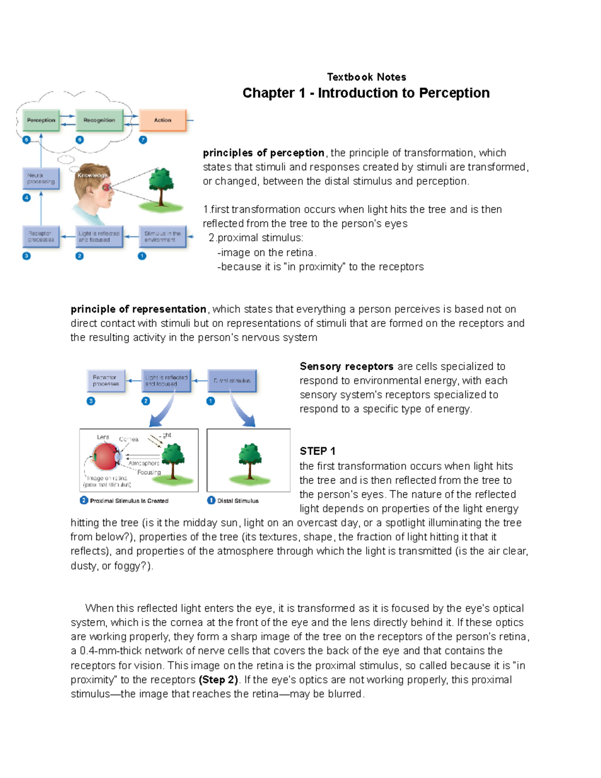 Chapter notes - This should help you study! - Textbook Notes Chapter 1 ...