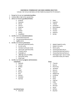 Muscle Lab Hand Out - MUSCLE ANATOMY HAND OUT TO ACCOMPANY BIO1314 ...