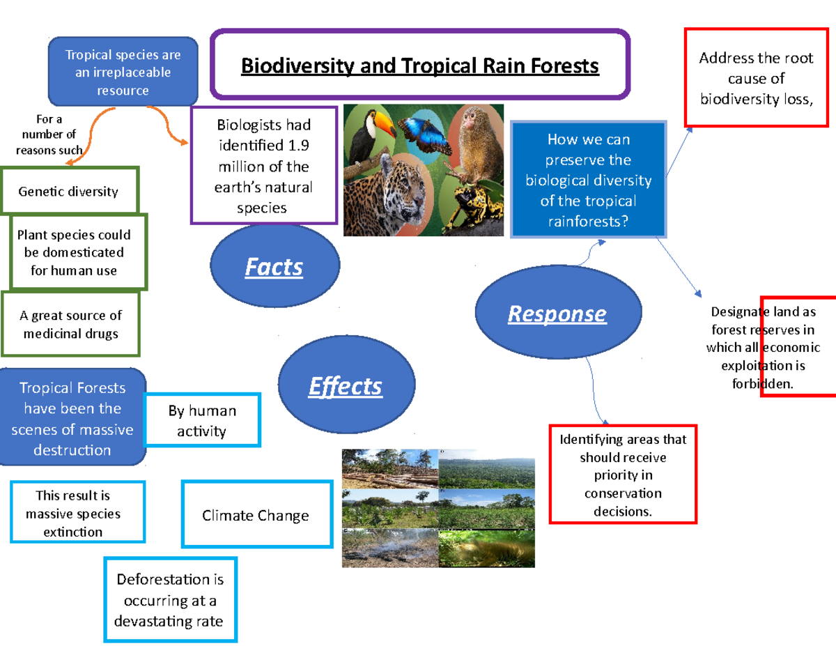 Concept Map Page 216 - Address The Root Cause Of Biodiversity Loss ...