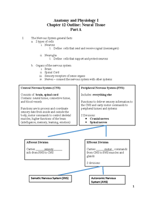 Ch 13 - notes - Anatomy and Physiology I Chapter 13 Outline: The Spinal ...
