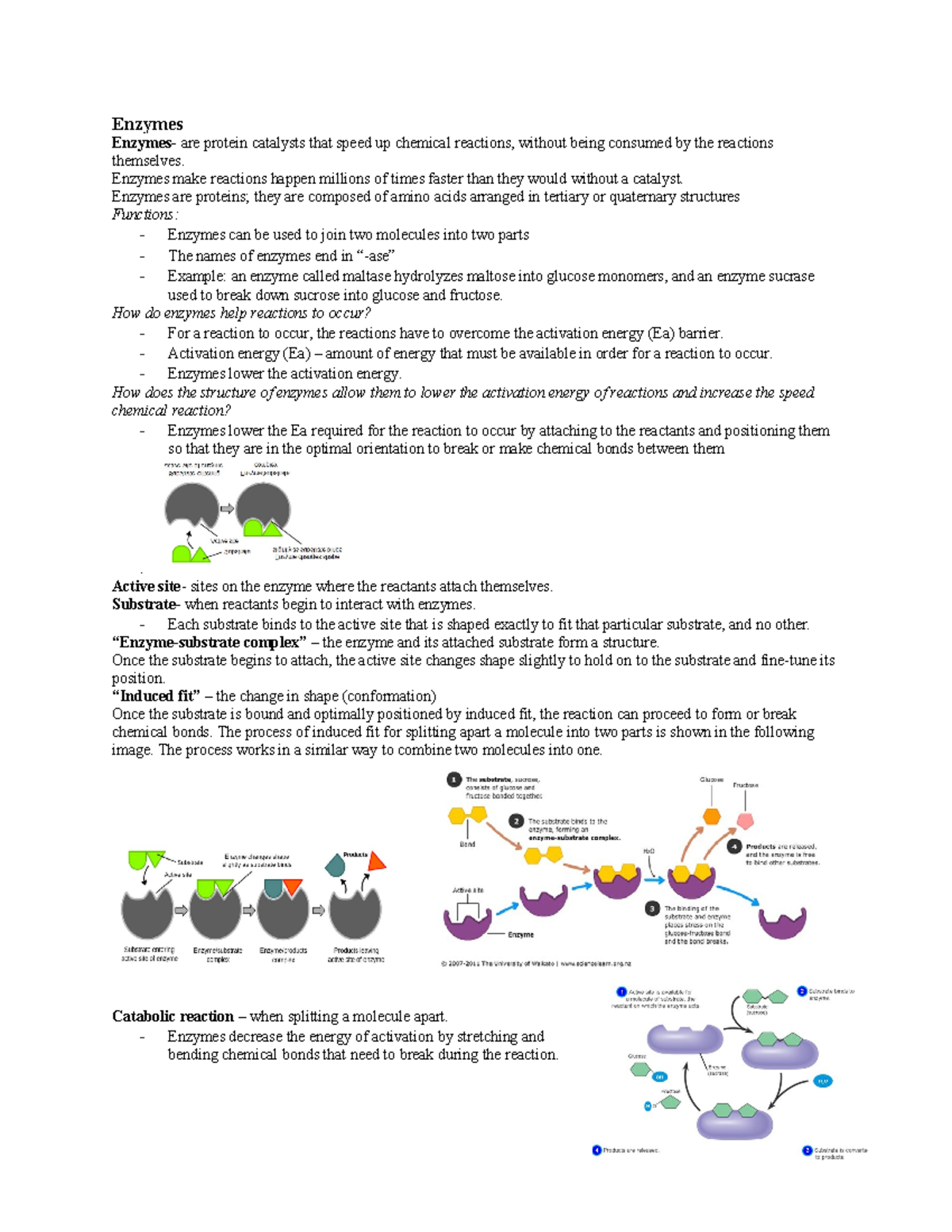 Biology chapters 2.4 and 2 - Enzymes Enzymes- are protein catalysts ...