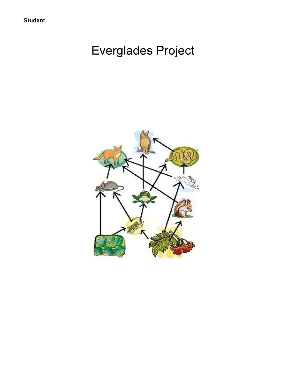 everglades-project-honors-everglades-project-purpose-the-purpose-of