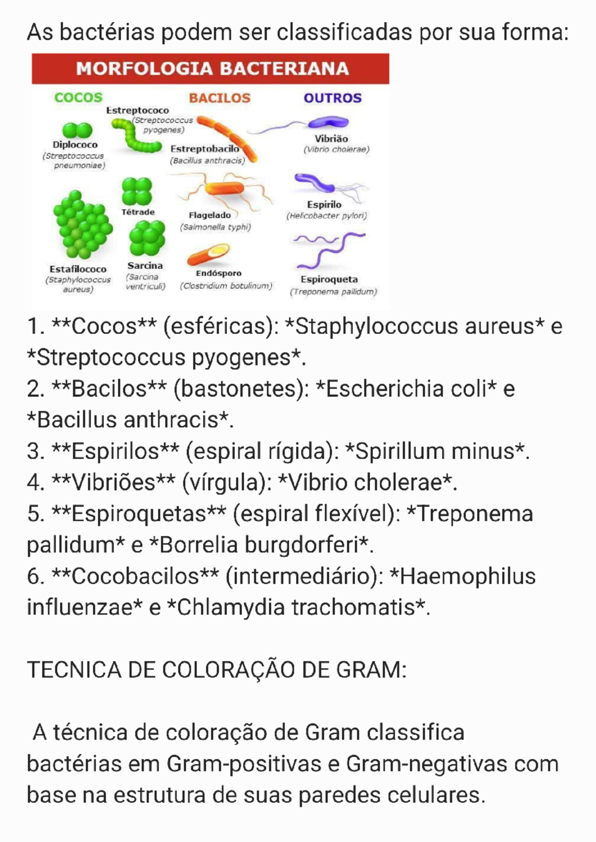 Micro - Resumo a partir do conteúdo dado em aula - As bactérias podem ...