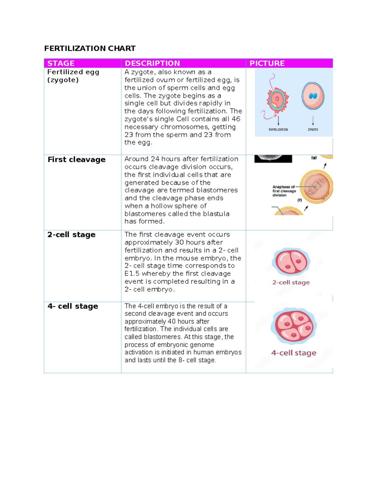 Fetilization chart done - FERTILIZATION CHART STAGE DESCRIPTION PICTURE ...