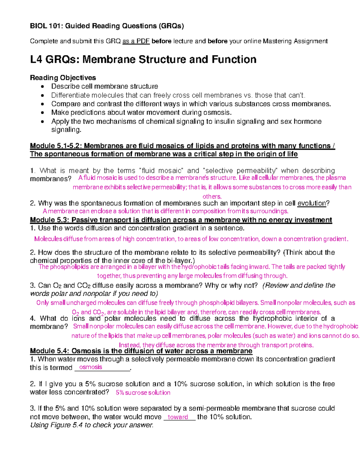 Lesson 4 GRQs Membrane Structure and Function - BIOL 101: Guided ...