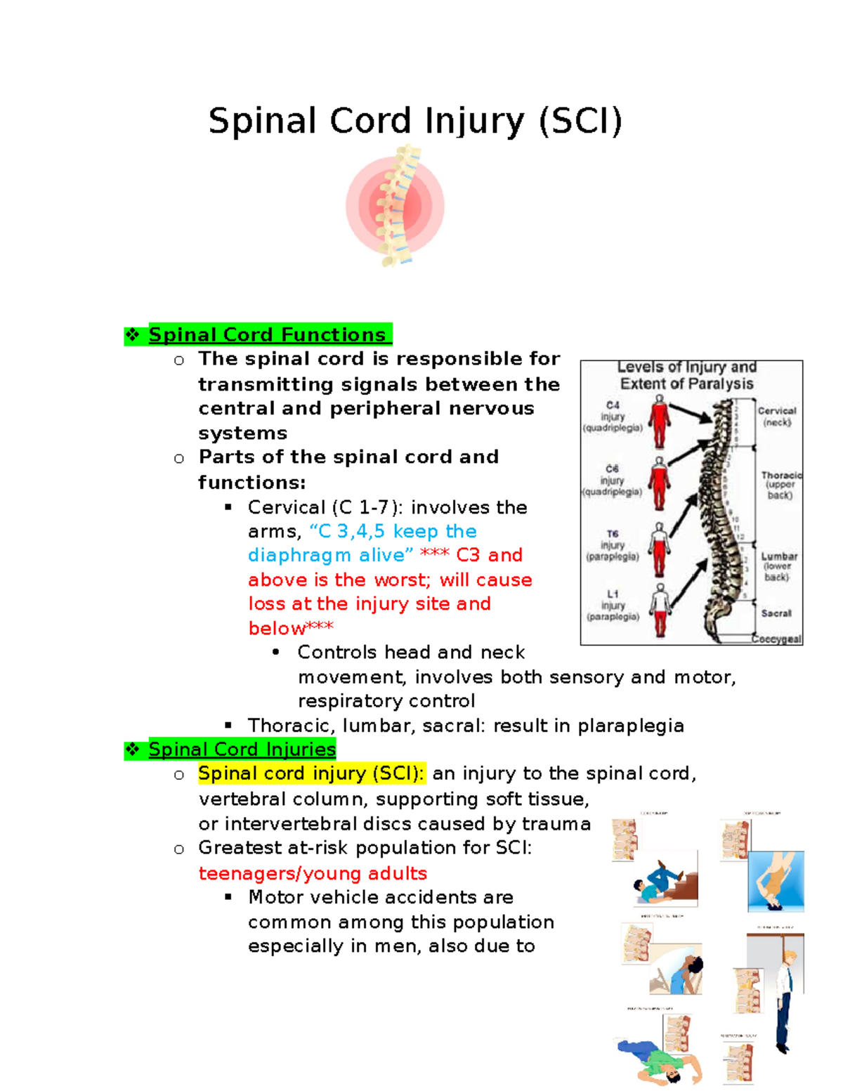 Spinal Cord Injury (SCI) - Studocu