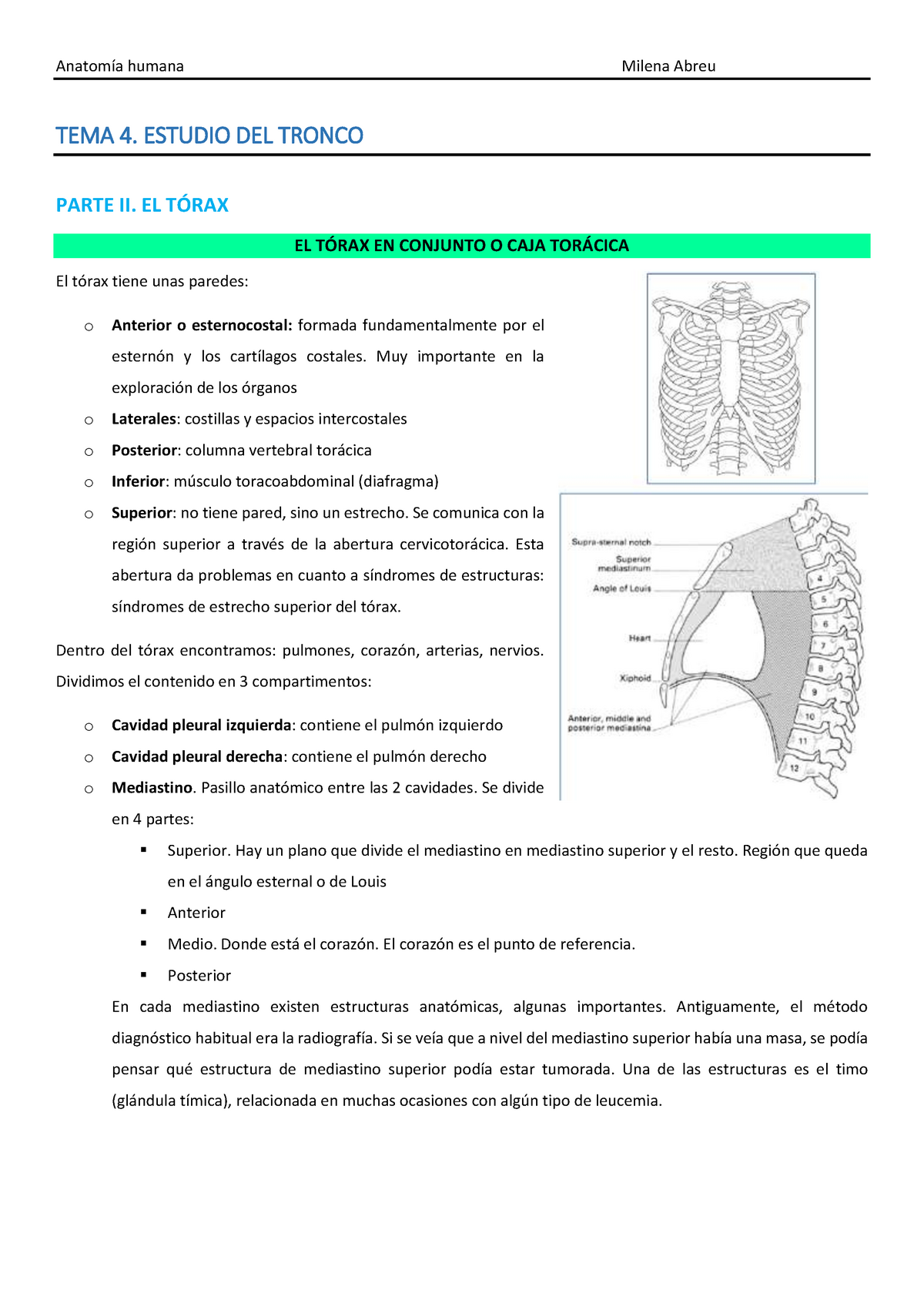 ángulo esternal