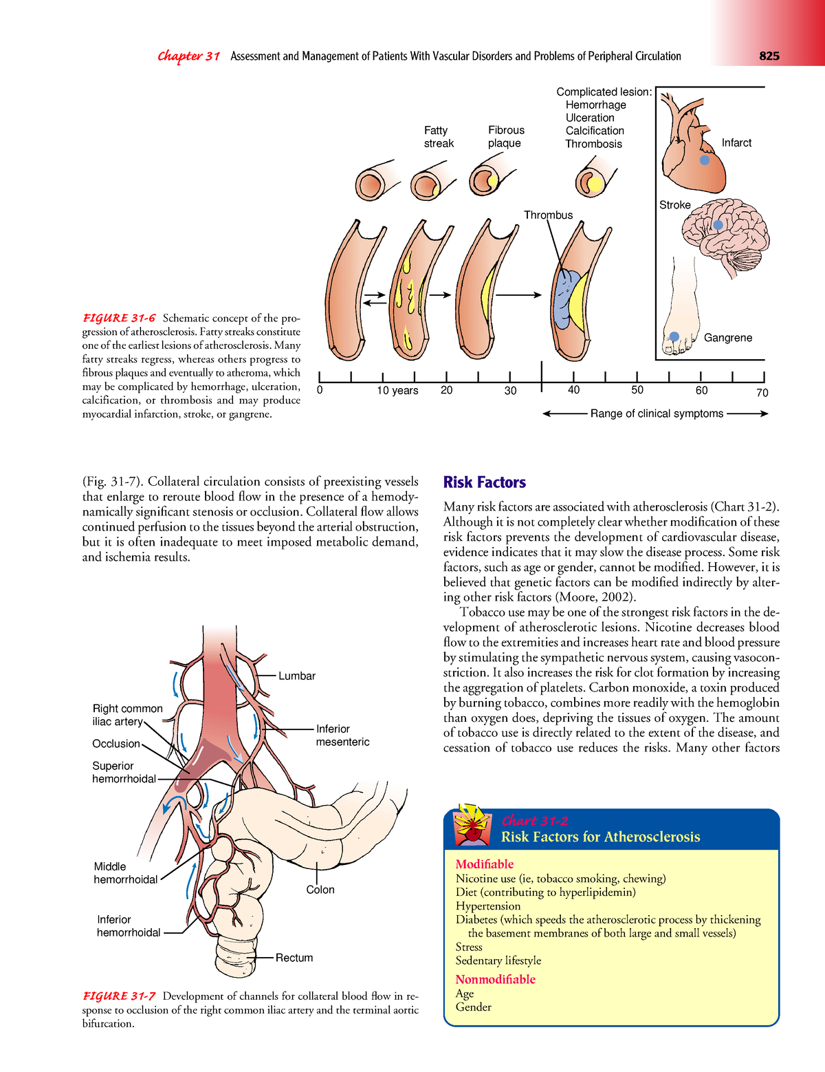 Textbook Of Medical Surgical Nursing-85 - Chapter 31 Assessment And ...