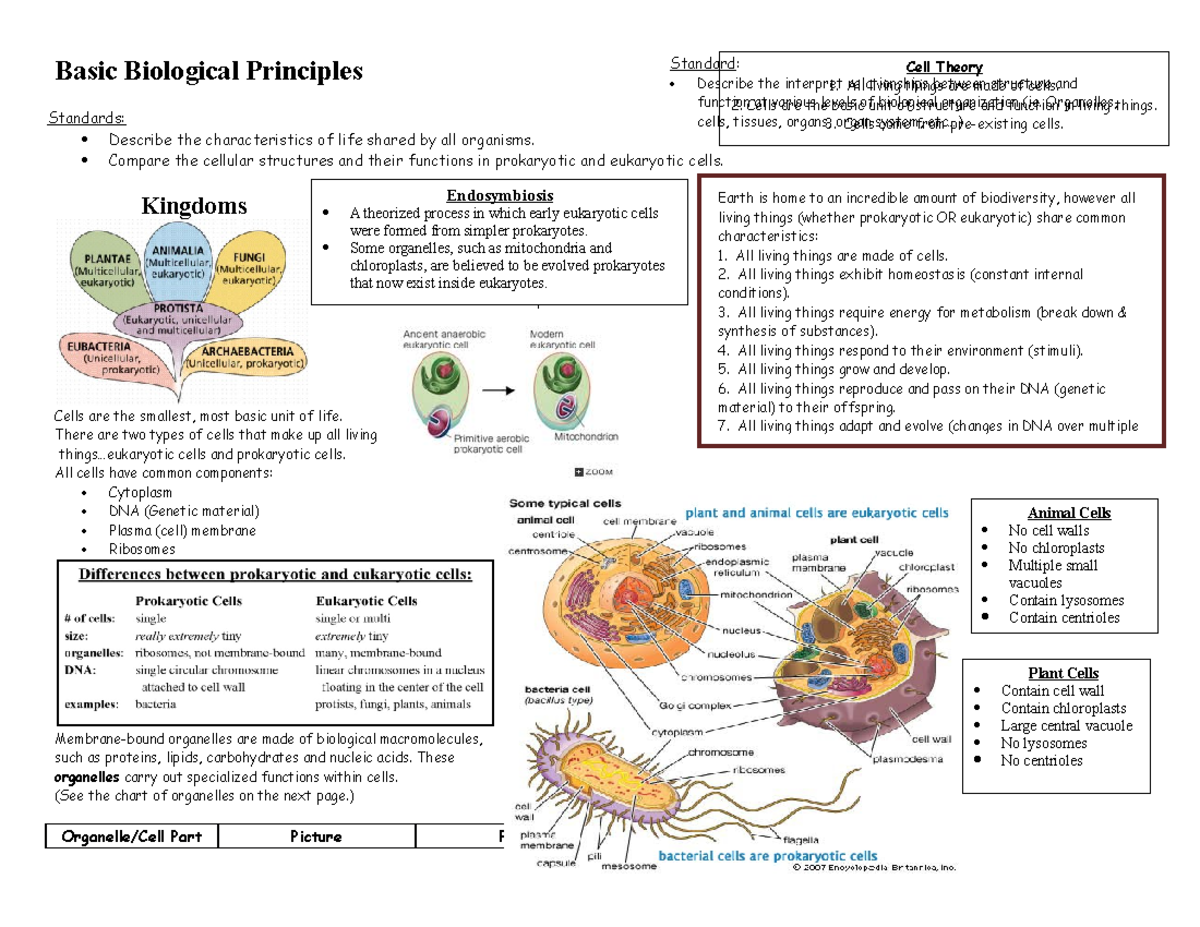 BIOLOGY - Cells Reviewer - Cell Theory All living things are made of ...