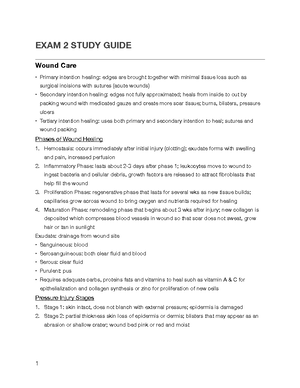 Hesi-V2 - hesi notes - GRAMMER 1. My father and I looked at her/hers ...