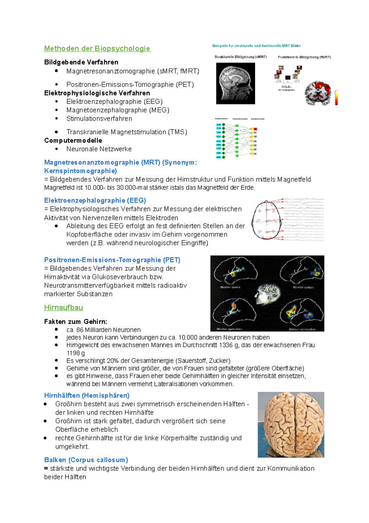 Teil 1 Biopsychologie Gehirn - Methoden Der Biopsychologie Bildgebende ...