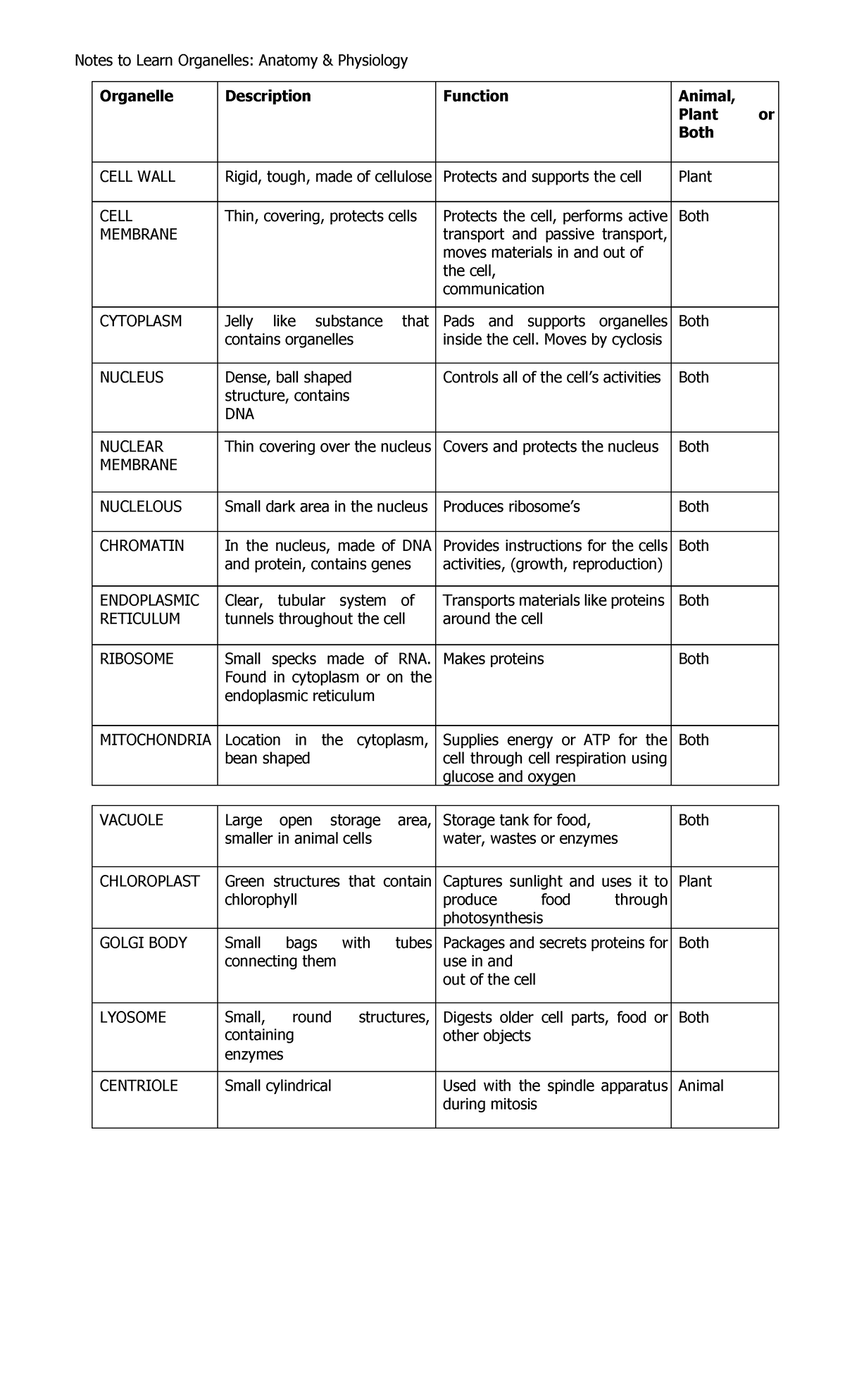 cell-organelles-study-guide-notes-to-learn-organelles-anatomy