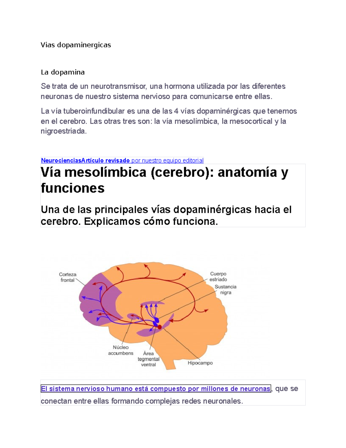 3. vias dopaminergicas - Vias dopaminergicas La dopamina Se trata de un ...