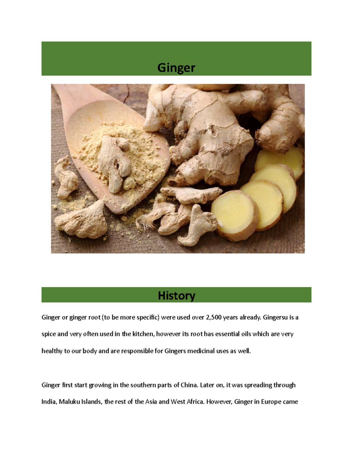 ginger-ginger-history-ginger-or-ginger-root-to-be-more-specific