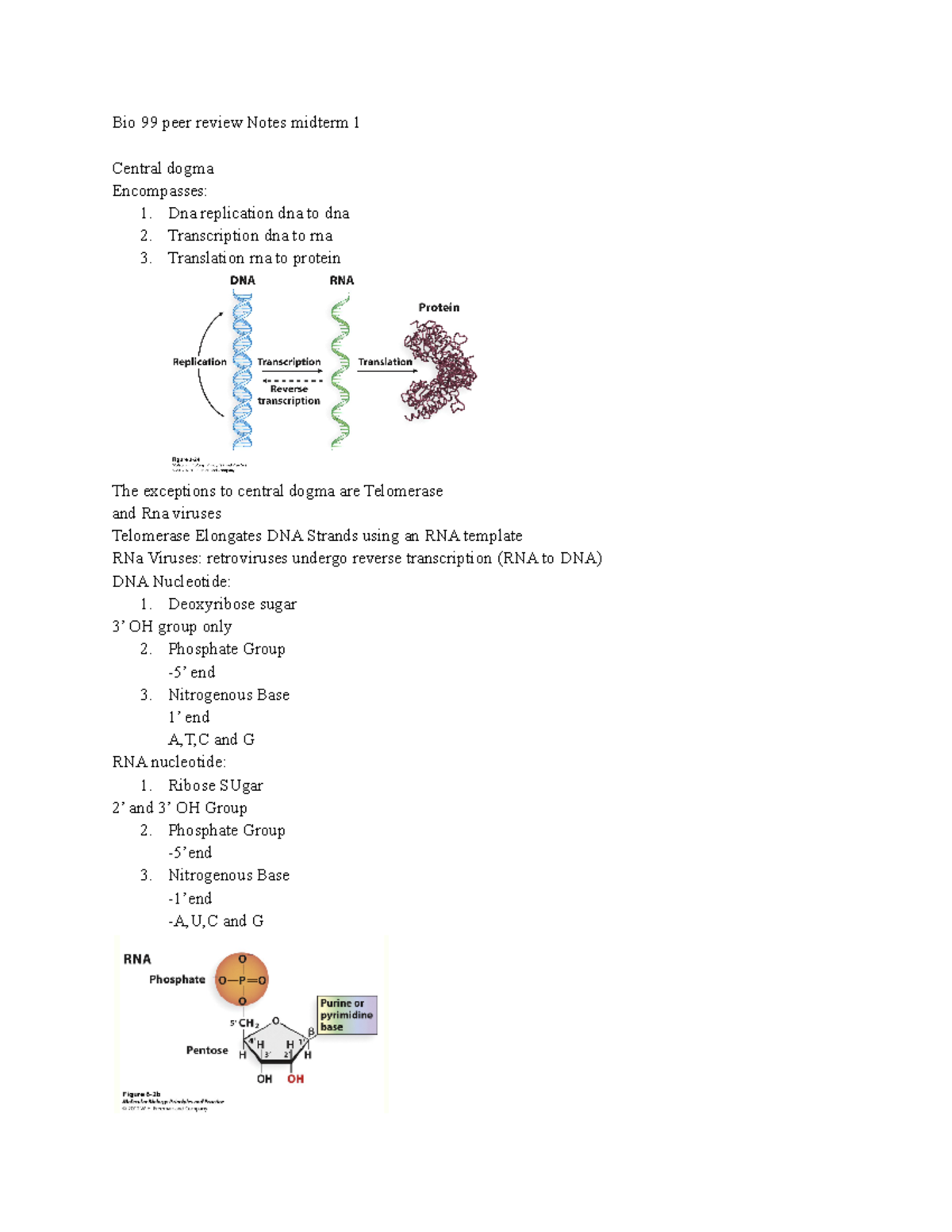 Bio 99 peer review Notes midterm 1 - Dna replication dna to dna 2 ...