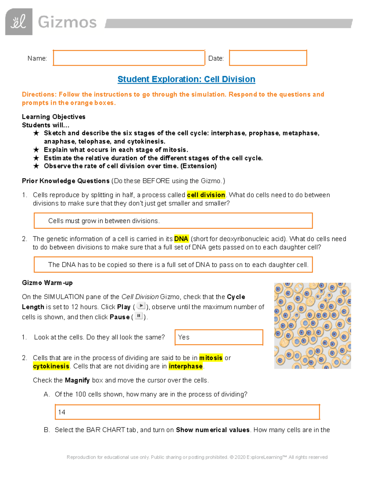 Cell Division Gizmo - Name: Date: Student Exploration: Cell Division ...