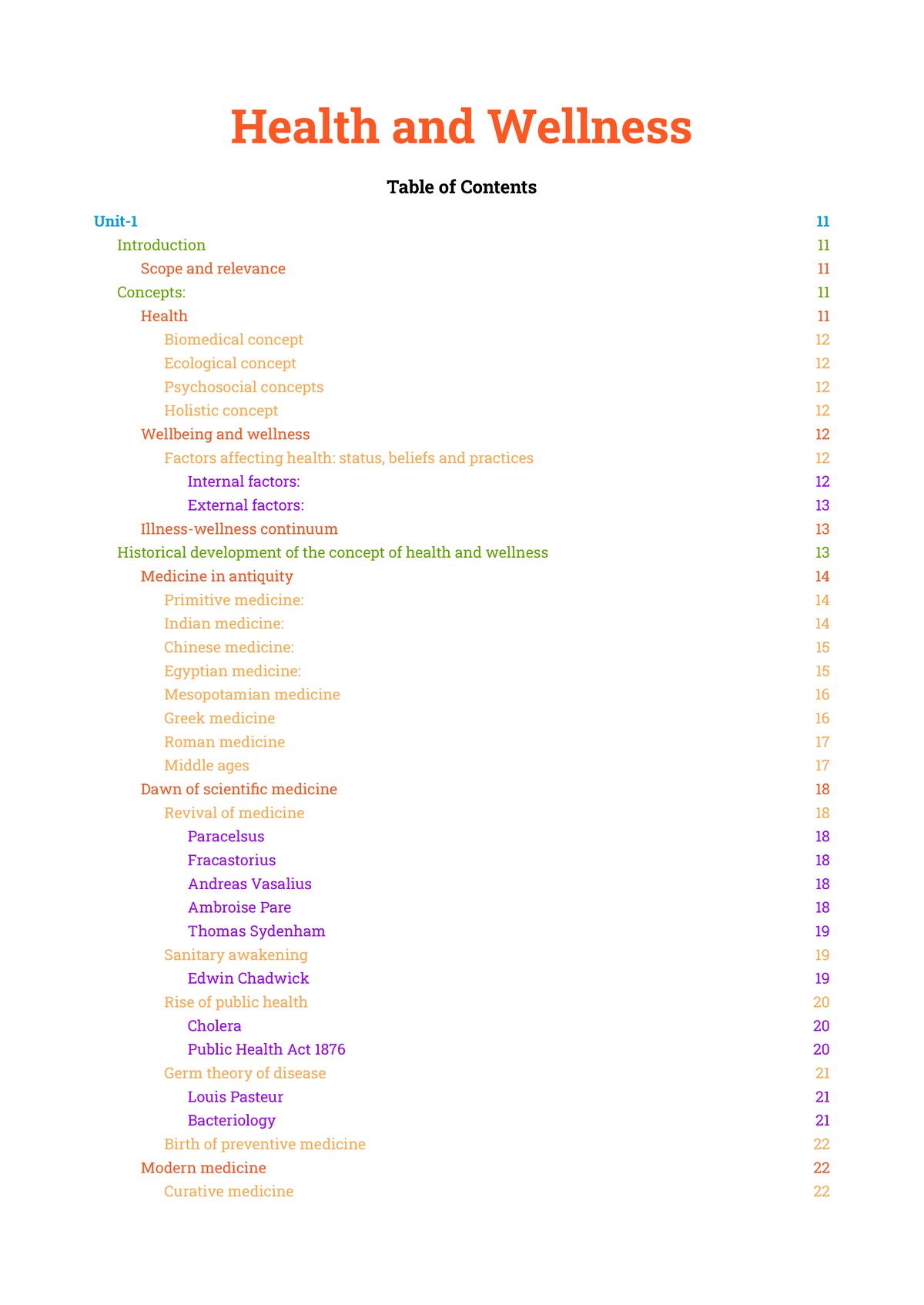 relationship between health and wellness essay