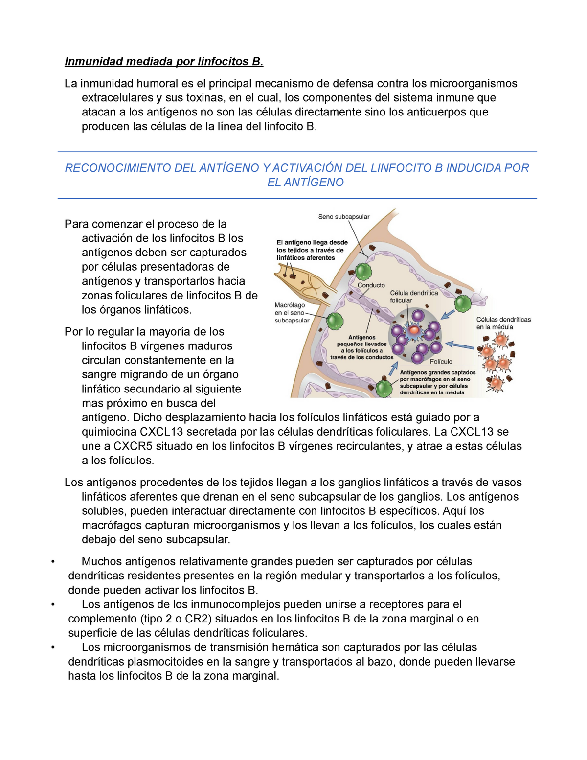 Inmunidad Mediada Por Linfocitos B Y Mecanismos Inmunorreguladores ...