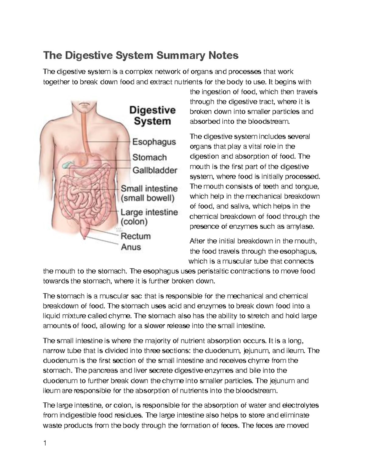 the-digestive-system-summary-notes-it-begins-with-the-ingestion-of