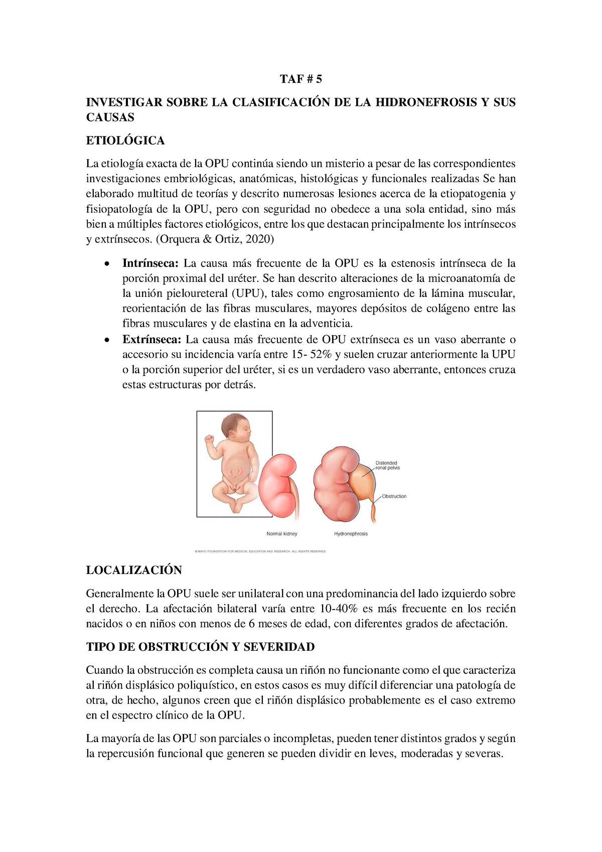 NVESTIGAR SOBRE LA CLASIFICACIÓN DE LA HIDRONEFROSIS Y SUS CAUSAS - TAF ...