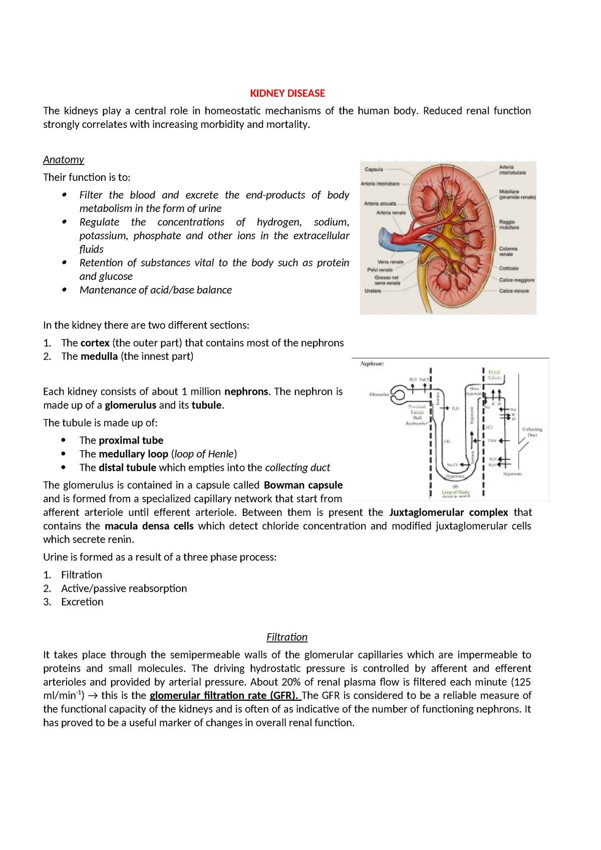 Lezione 3 - Kidney Disease - KIDNEY DISEASE The kidneys play a central ...