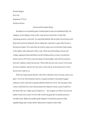 Реферат: Coral Reefs Essay Research Paper Coral ReefsThe