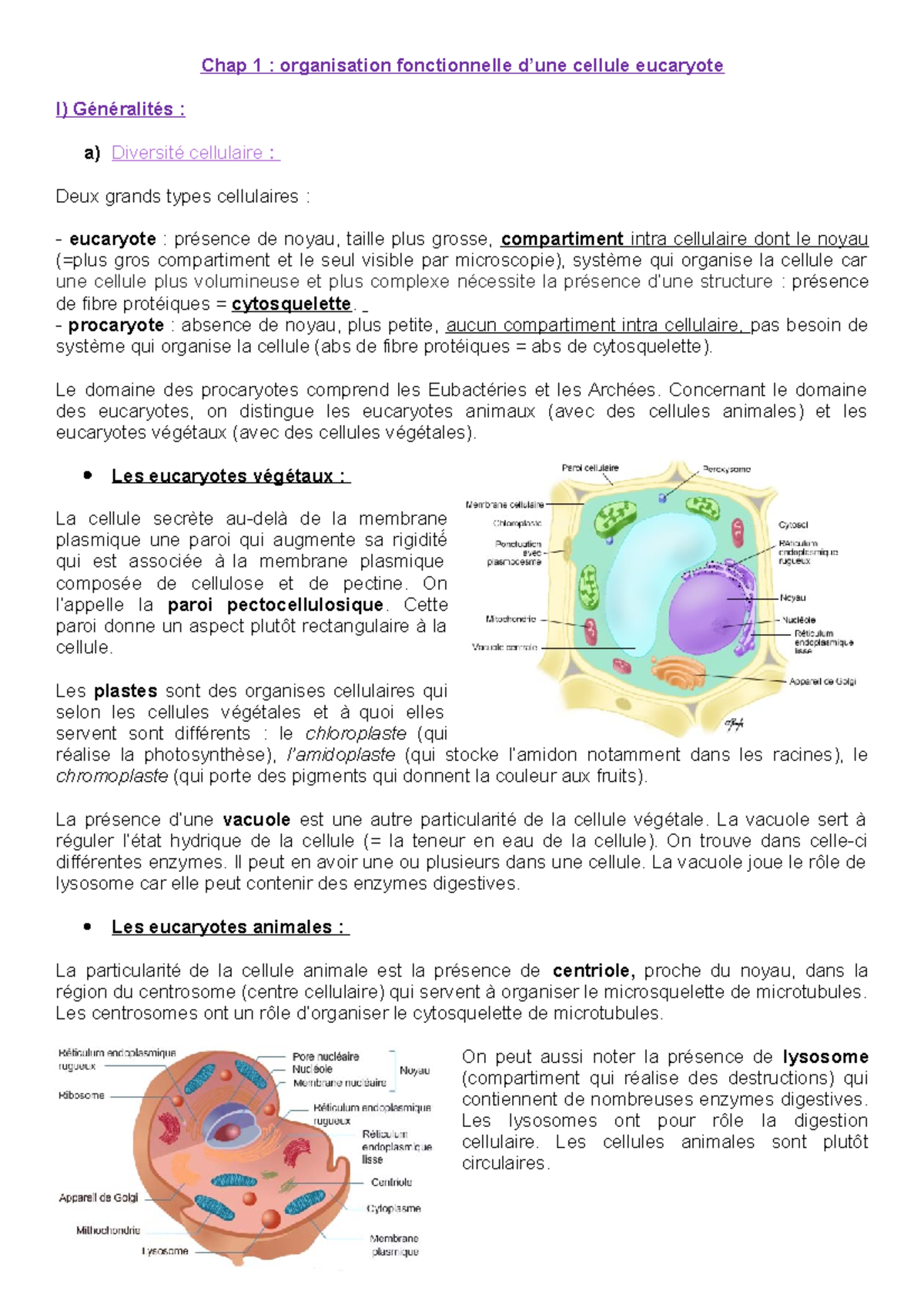 L organisation Fonctionnelle Du Vivant Fiche De Revision la cellule eucaryote L1 - Chap 1 : organisation fonctionnelle d'une cellule  eucaryote I) Généralités - Studocu