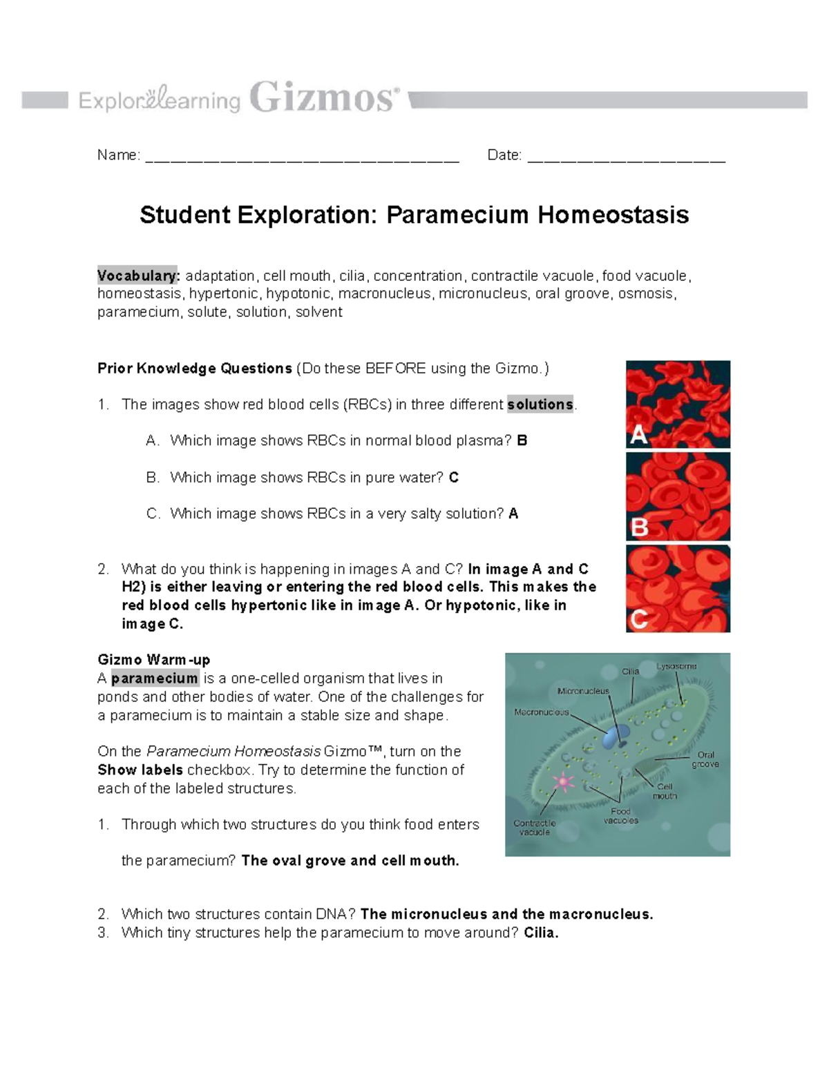 Paramecium Homeostasis SE - Name ...