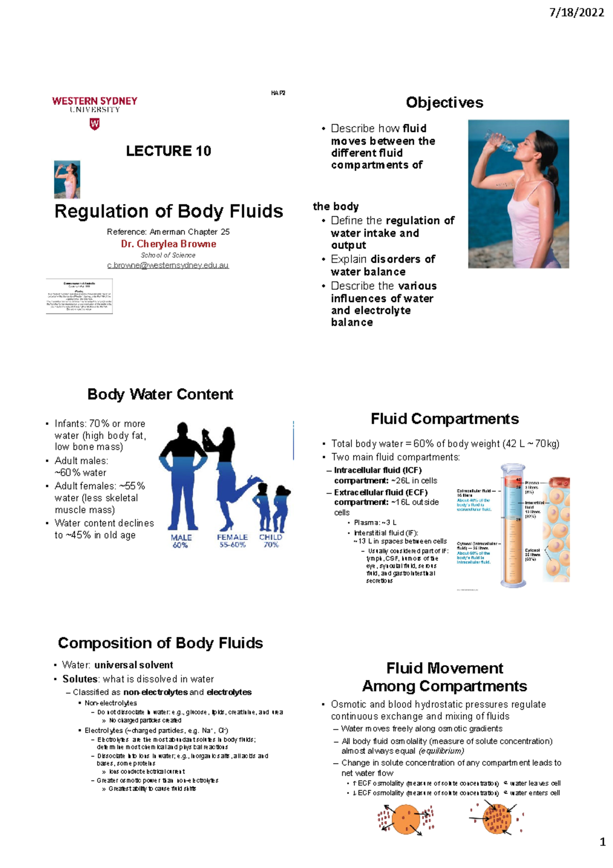 Lecture 10 Water Regulation 6er - 7/18/ 1 LECTURE 10 HAP Objectives ...