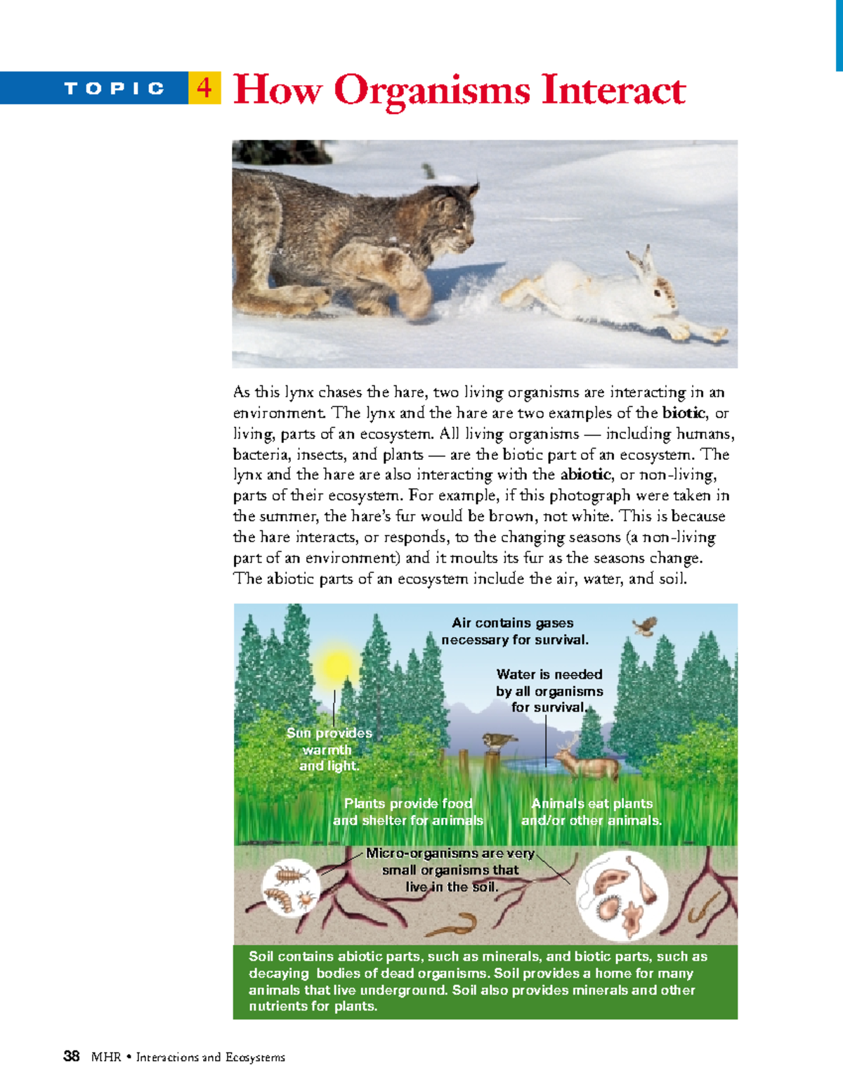 practice materials 38 MHR • Interactions and Ecosystems T O P I C 4 How Organisms Interact As