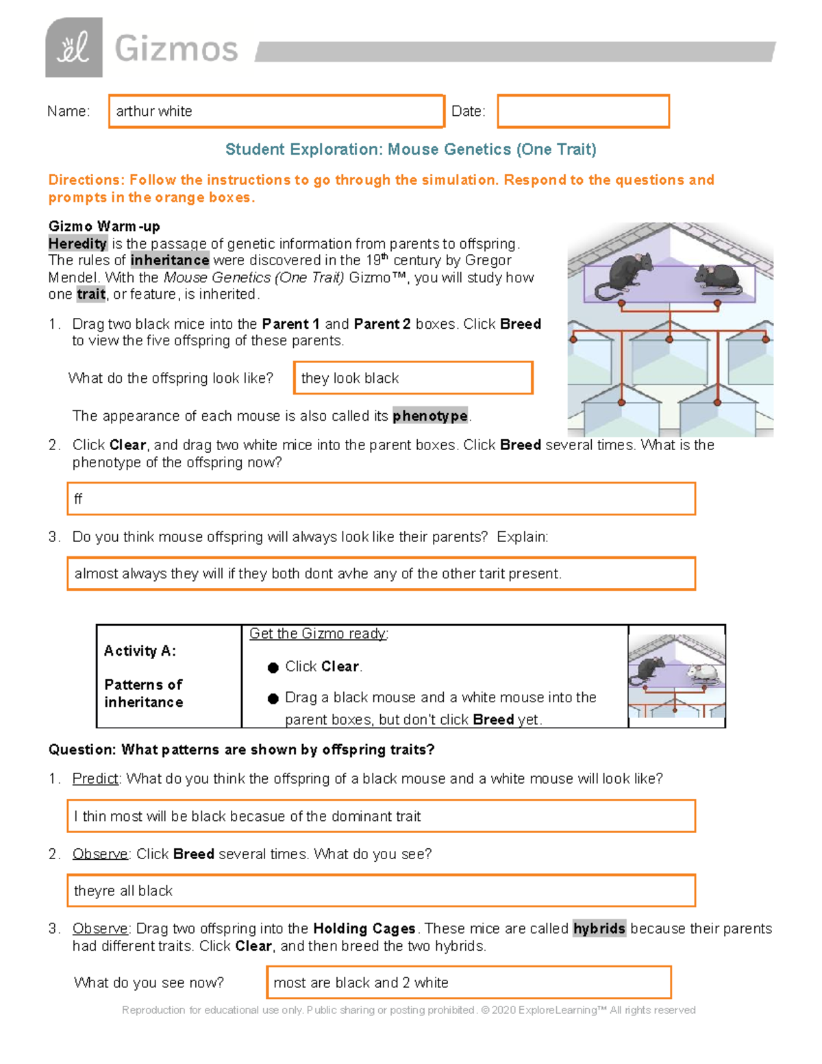 Arthur White - Gizmo Mouse Genetics - One Trait - 10444159 - Name ...