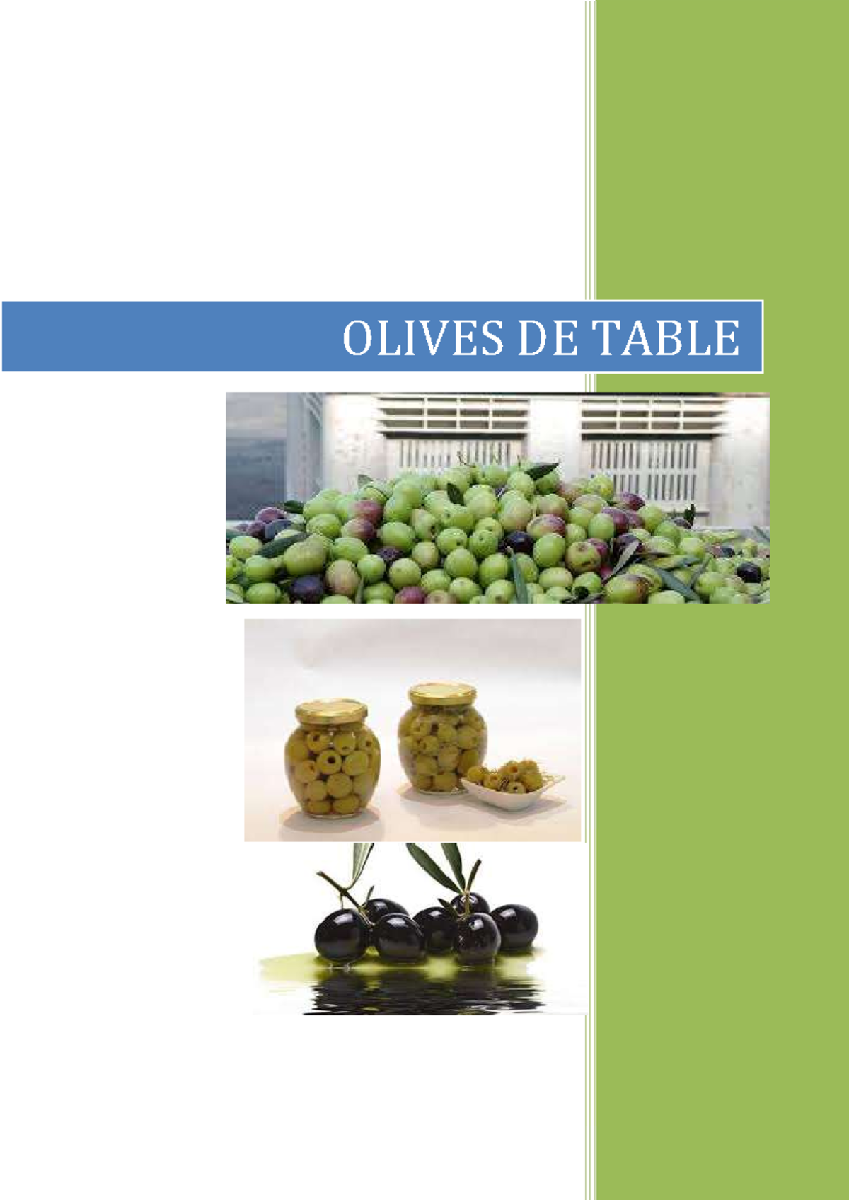 Résumé Technologie de transformation des Olives de table - OLIVES DE ...