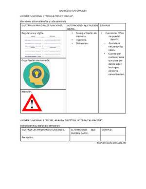 Avance Programa Sintético Fase 3 - Avance Del Contenido Del Programa ...