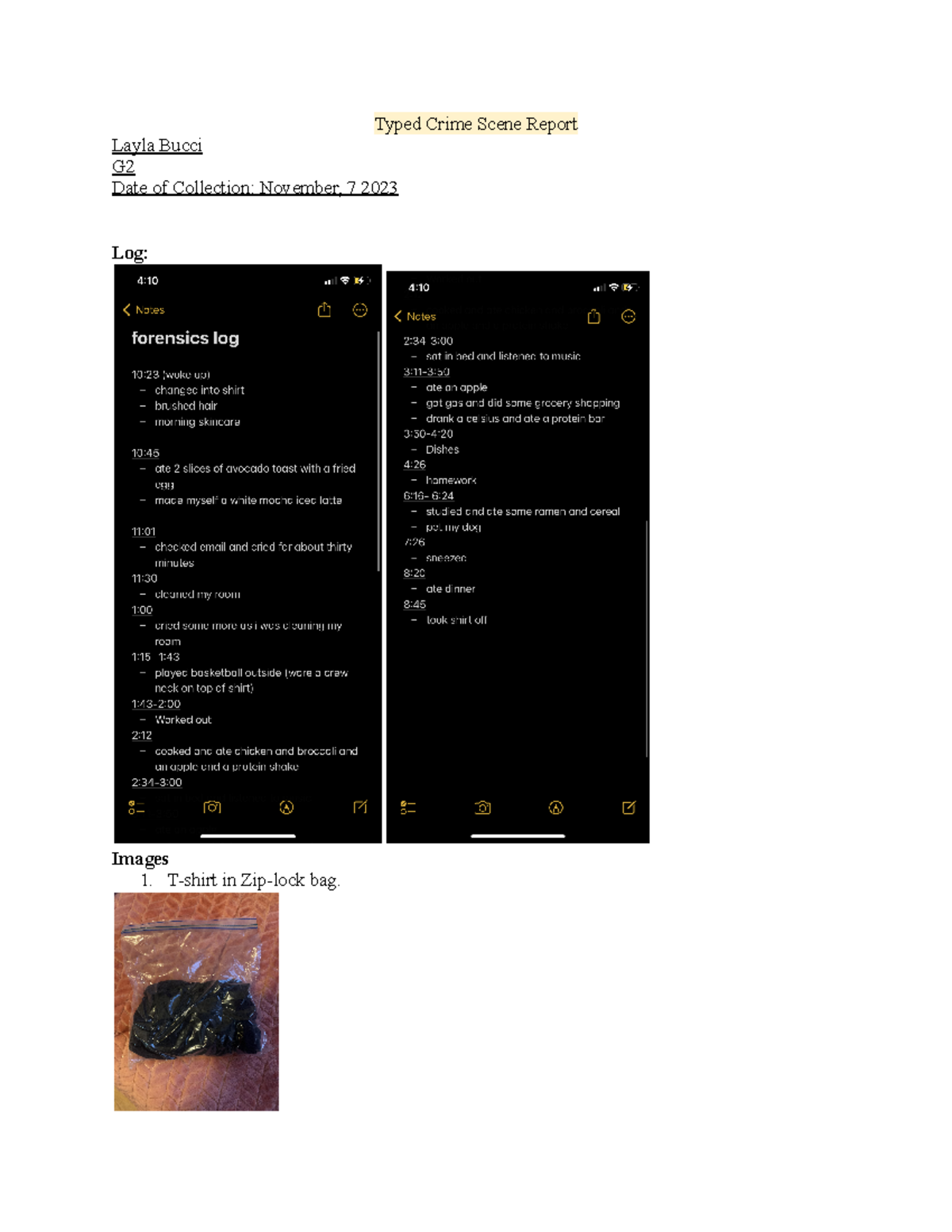crime scene report - Typed Crime Scene Report Layla Bucci G Date of ...