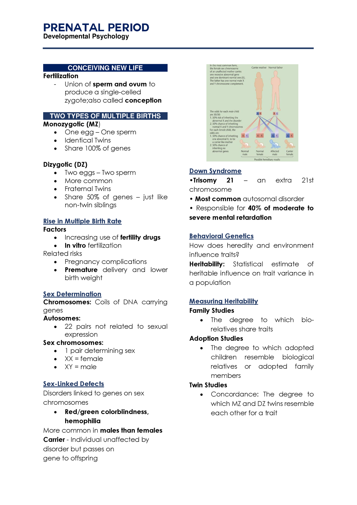 Prenatal Notes - Developmental Psychology CONCEIVING NEW LIFE ...