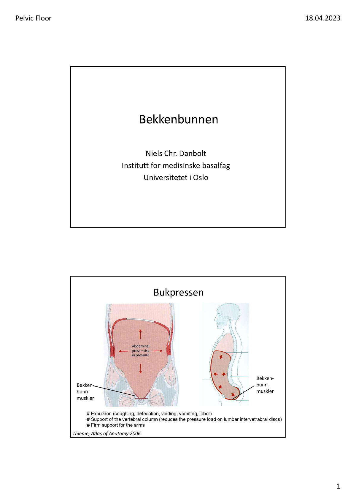 For V 2023 04 18 Bekkenbunn - Bekkenbunnen Niels Chr. Danbolt Institutt ...