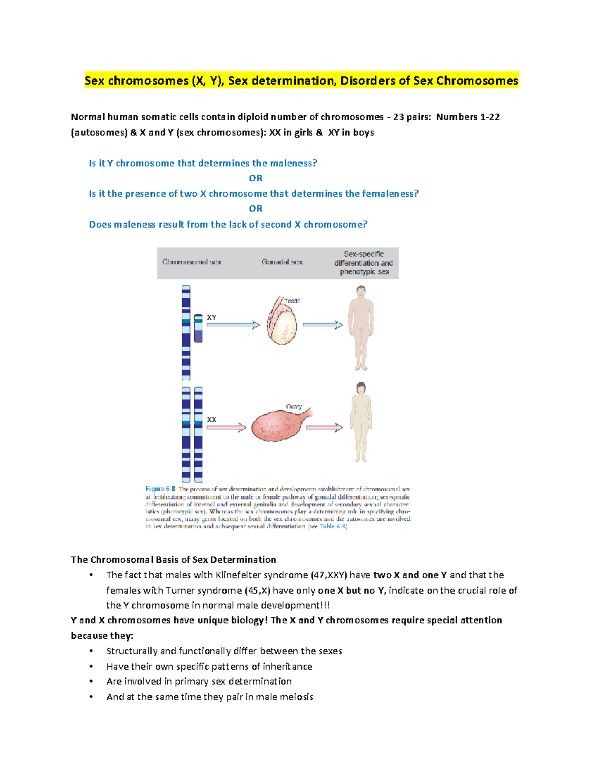 12 Lecture-Sex Determination, Sex Chromosomes, X Inactivation - Sex  chromosomes (X, Y), Sex - Studocu