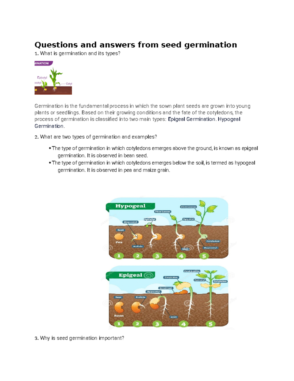 critical thinking questions on seed germination