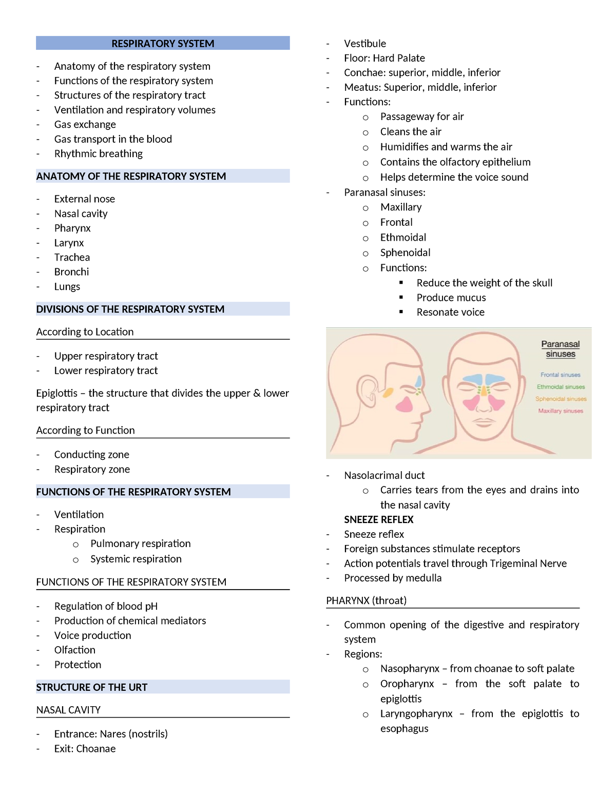 Respiratory System - RESPIRATORY SYSTEM Anatomy of the respiratory ...