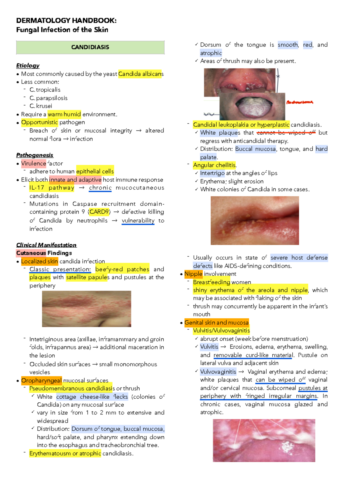 fungal-diseases-of-the-skin-fungal-infection-of-the-skin-etiology