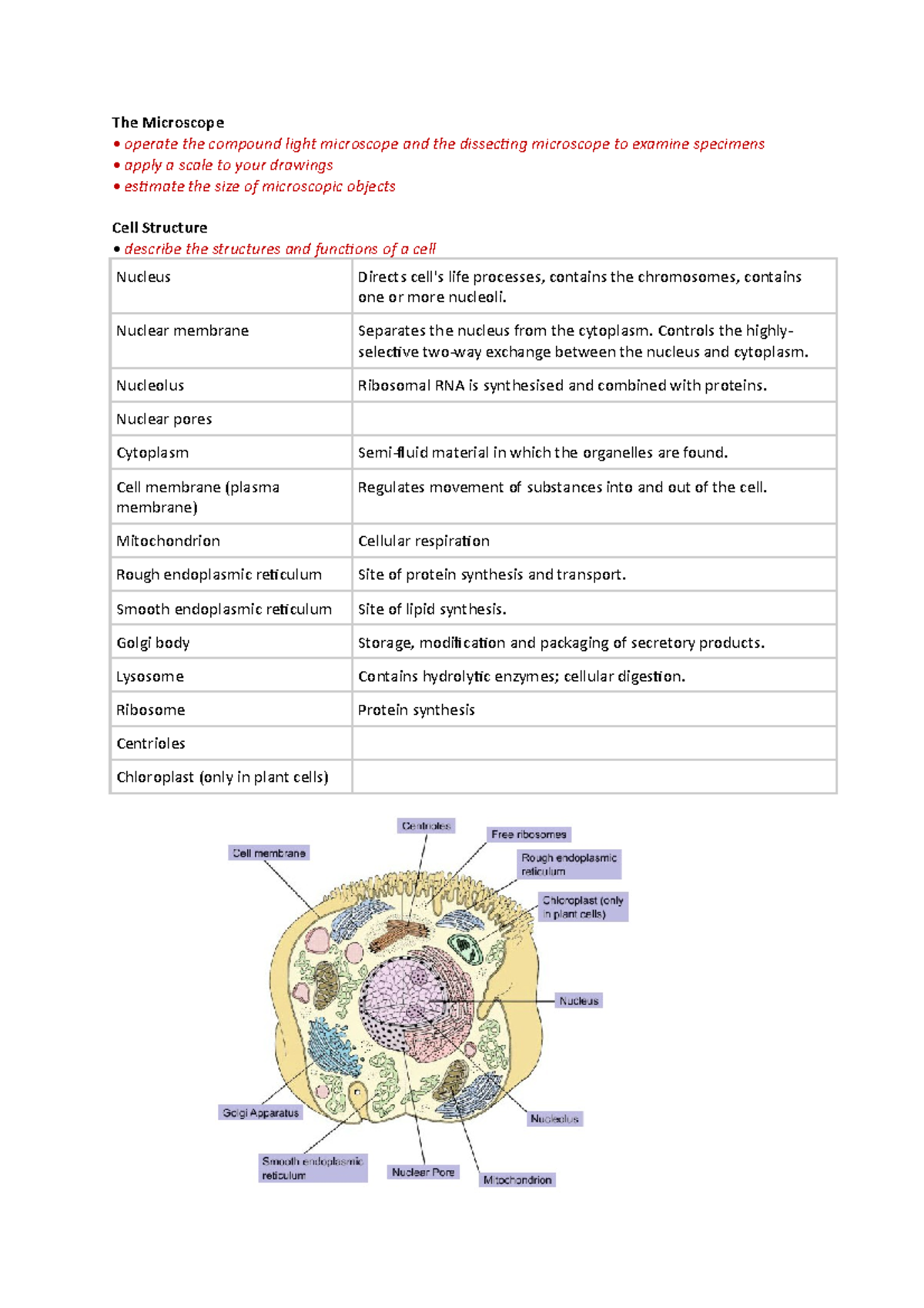 BIOL1003 notes - Summary Human Biology - The Microscope operate the ...